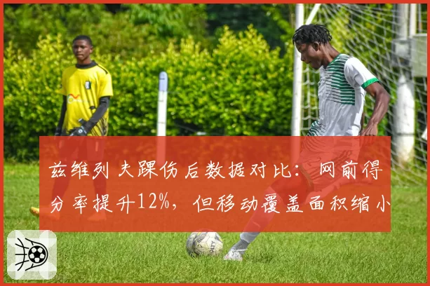 兹维列夫踝伤后数据对比：网前得分率提升12%，但移动覆盖面积缩小18%