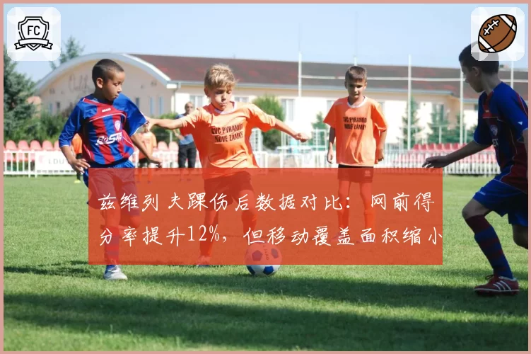 兹维列夫踝伤后数据对比：网前得分率提升12%，但移动覆盖面积缩小18%